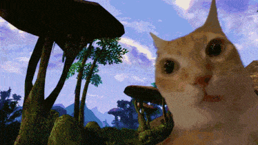 a cat is looking at the camera with trees in the background and a watermark that says ' dooze ' on it
