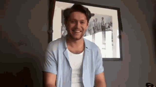 Niall Horan Memes One Direction GIF - Niall Horan Memes Niall Horan One Direction GIFs