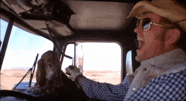 a man in a cowboy hat driving a truck with a dog