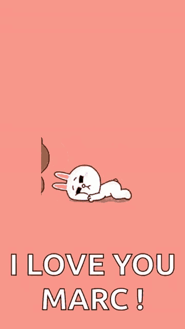 a brown bear is hugging a white rabbit on a pink background with the words " i love you marc "