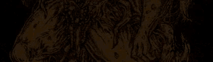 a drawing of a lion with the words bucketofafterbirth 11 on it