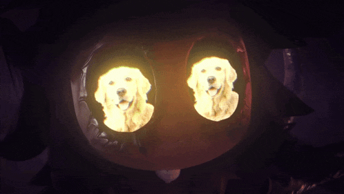 two dogs are carved into a pumpkin and their faces are lit up