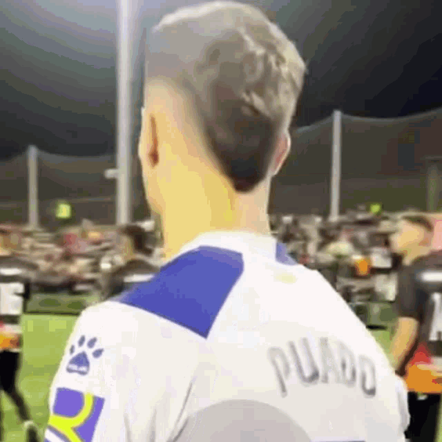 a man wearing a white and blue soccer jersey with the name puado on the back .