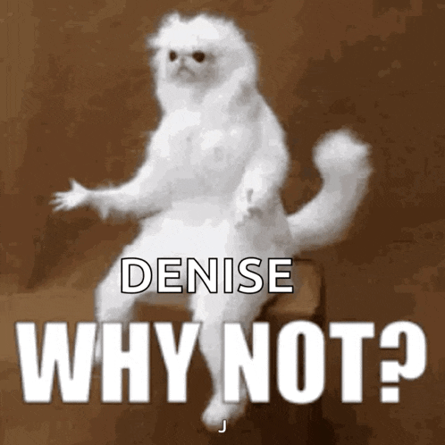 a white cat is sitting on a chair with the words denise why not written above it