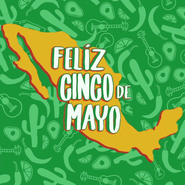 Feliz Cindo De Mayo Celebrate Dont Appropriate GIF