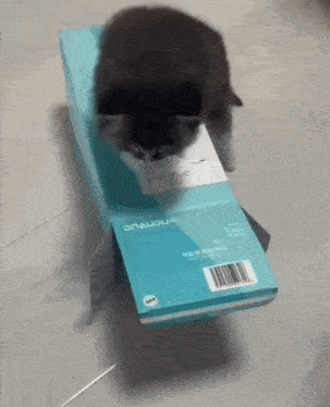 a cat is playing with a blue box that says onaudur