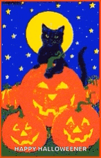 a black cat is sitting on top of a pumpkin .
