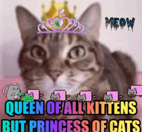 Queen Kittens GIF - Queen Kittens Princess GIFs