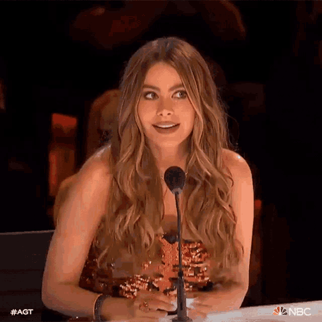a woman with long hair is sitting in front of a microphone .