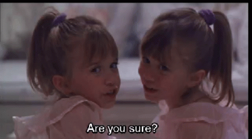 Are You Sure Olsen Twins GIF - Are You Sure Olsen Twins You Sure GIFs
