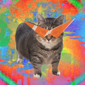 a cat is wearing a pair of orange sunglasses on a colorful background