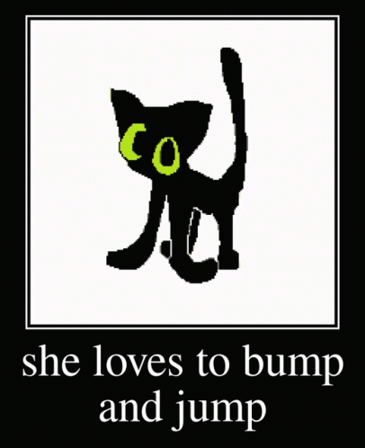 She Loves To Bump And Jump Cat Meme GIF - She Loves To Bump And Jump Cat Meme Cat Dance GIFs