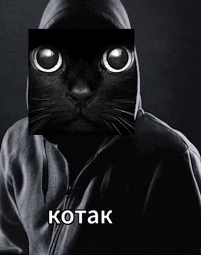 a person with a black cat on their face and the word kotak on the bottom right