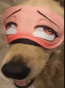 a close up of a dog wearing a pink sleep mask with a sad face on it .