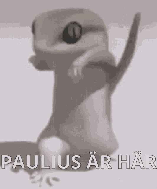Paulius Is GIF - Paulius Is Here GIFs