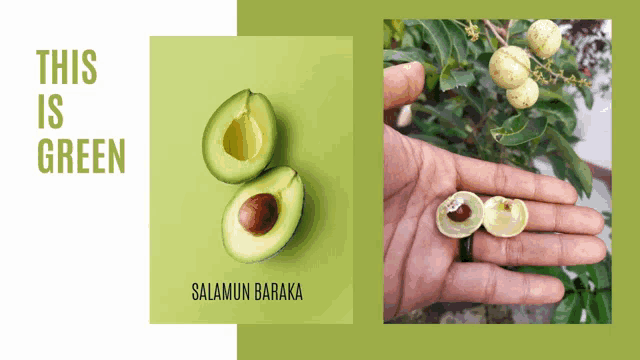 a picture of an avocado and a picture of a hand holding an avocado on a green background that says this is green