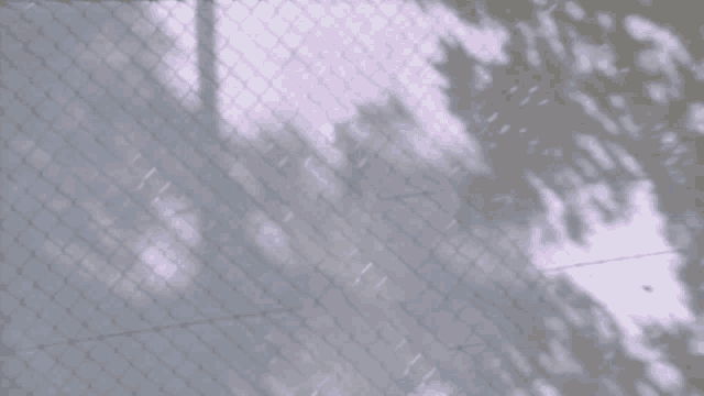 a chain link fence with a tree shadow on it .