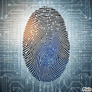 a picture of a fingerprint on a circuit board with pixiz written below it