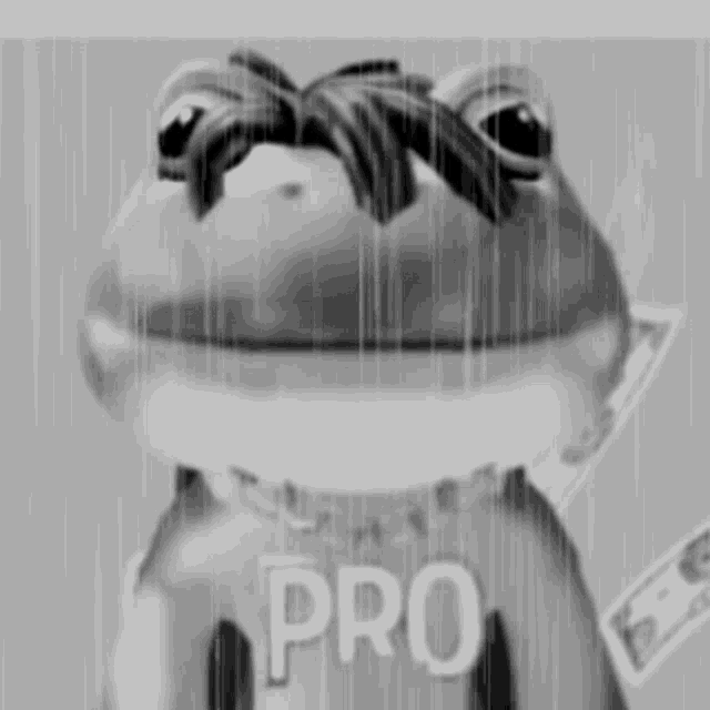 a black and white photo of a frog with a mustache and the word pro written on it .