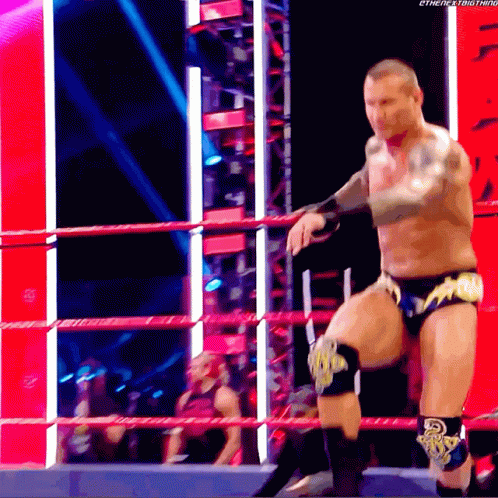 Randy Orton Punt Kick GIF - Randy Orton Punt Kick Christian GIFs