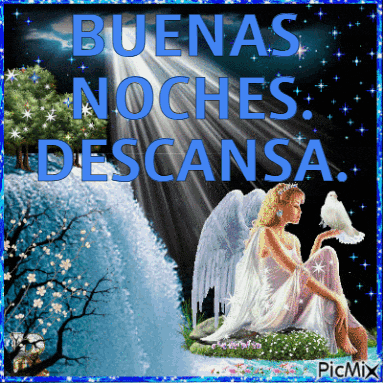 a picture of an angel with the words buenas noches descansa above it