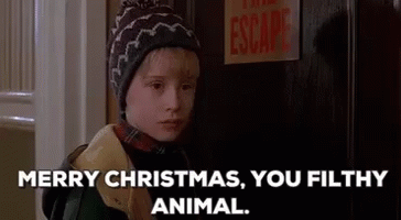 Home Alone Kevin GIF - Home Alone Kevin Filthy Animal GIFs