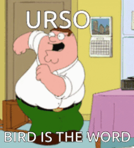Urso Bird Is The Word GIF - Urso Bird Is The Word Peter Griffin GIFs