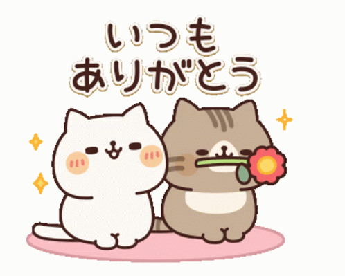 Couple Cat Couple GIF - Couple Cat Couple Flower GIFs