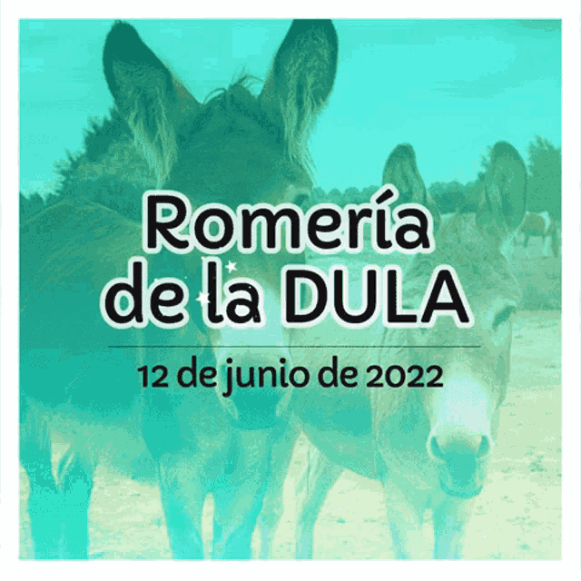 Torrella Dula GIF - Torrella Dula Romería GIFs