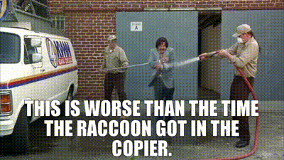This Is Worse That One Time GIF - This Is Worse That One Time Raccoon GIFs