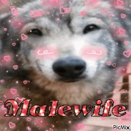 a picture of a dog with hearts around it and the words malewife