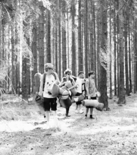 One Direction Camping GIF - One Direction Camping Lost GIFs