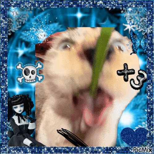 a picture of a cat with a skull and crossbones and a t on it