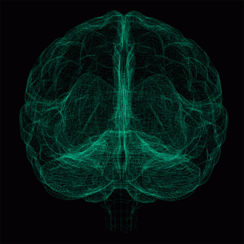 Artificilbrain GIF - Artificilbrain Ai Brain GIFs