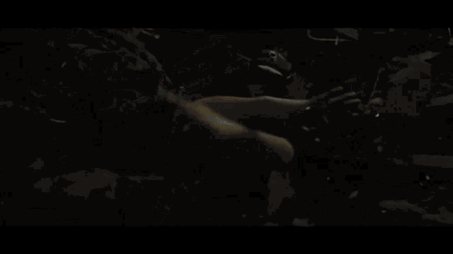 a blurry picture of a person walking down a dark street .