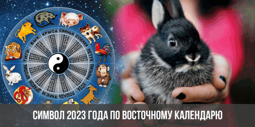 a person holding a rabbit in front of a chinese calendar