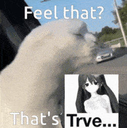 a white cat with a picture of a girl and the words feel that that 's true