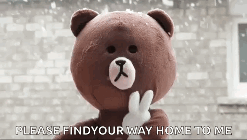 Cony And Brown Stare GIF