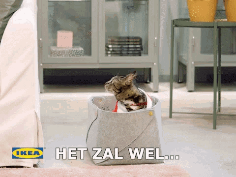 Ikea Cat GIF