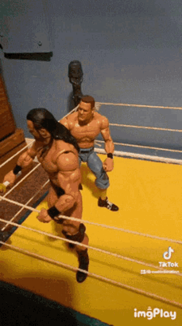 two action figures are standing in a wrestling ring with a tiktok watermark on the bottom