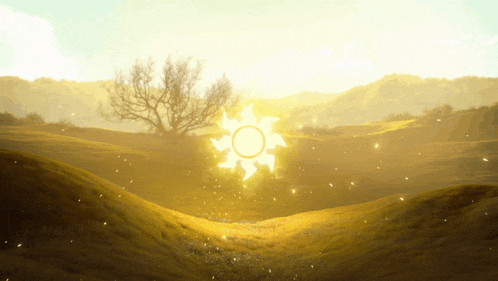 the sun is shining brightly in the middle of the field