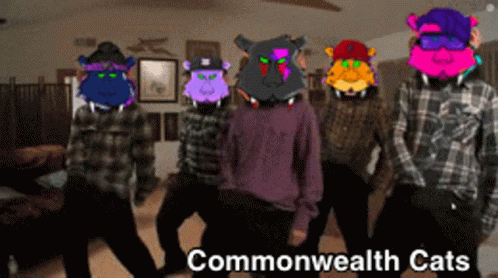 Commonwealth Cats GIF - Commonwealth Cats GIFs