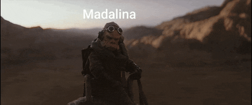a monkey wearing a gas mask and goggles is sitting on a rock in the desert .