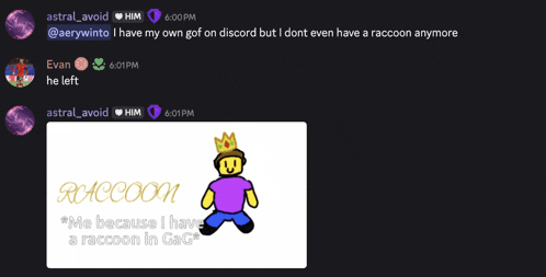 a screenshot of a discord conversation with a drawing of a raccoon