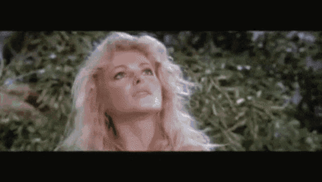 a woman with blonde hair is standing in front of a tree and looking up at the sky .