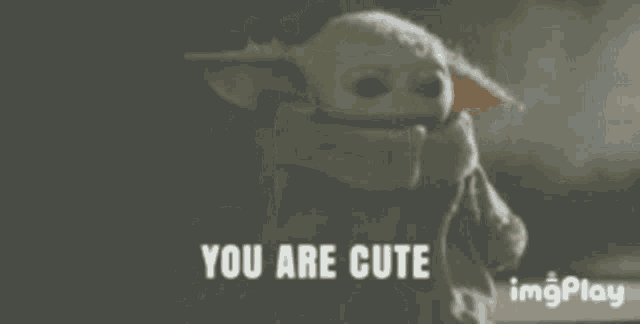 a stuffed animal that says `` you are cute '' is sitting on a wooden floor .