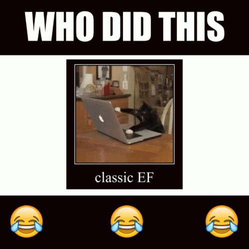 Classic Ef Slotter GIF - Classic Ef Slotter Arlo GIFs