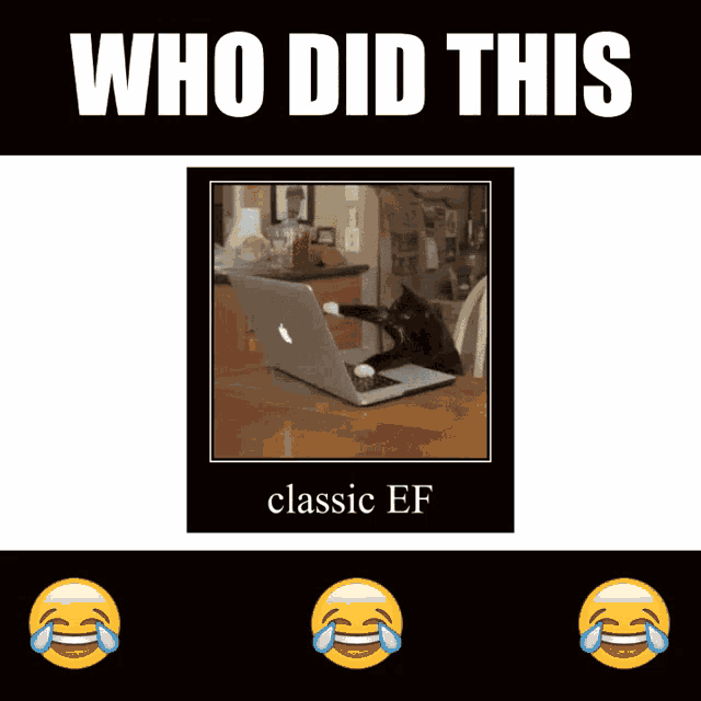 a picture of a cat on a laptop that says who did this