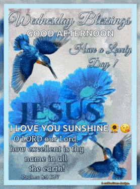 wednesday blessings good afternoon have a lovely day ! jesus i love you sunshine