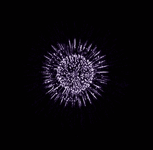 a purple fireworks display in the night sky